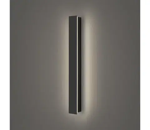 LED osvetlenie BRILAGI - LED vonkajšie nástenné svietidlo LINEAR LED/12W/230V 4000K IP65 čierne BRI281