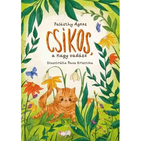Rozprávky Csíkos, a nagy vadász - Ágnes Palásthy