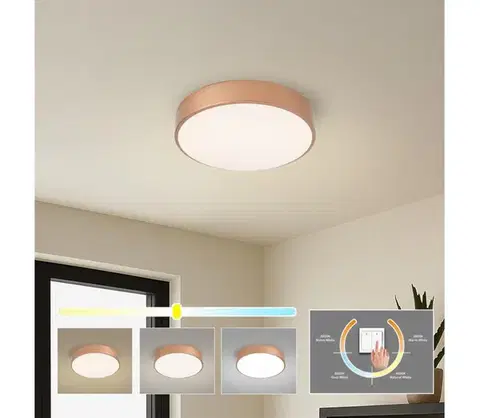 Svietidlá BRILAGI - LED stropné svietidlo POOL LED/36 W/230 V 3000/4000/6000 K, priemer 30 cm, bronzové BRI1015