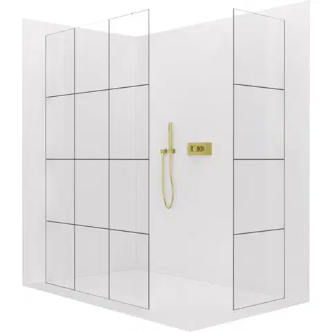 Sprchové dvere CERANO - Sprchová zástena Walk-in Crystal TL/P - 8 mm - bezvzperový systém - zlatá, industriálne sklo - 90x90x200 CER-8050BD5887