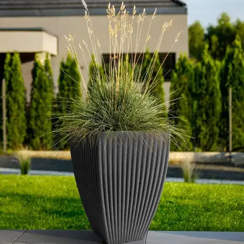 Záhrada Kvetináč Lotus