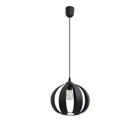 Svietidlá  Luster na lanku NEWTON 1xE27/15W/230V čierna W-1380/1 BK+SCW-P BK
