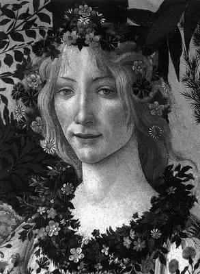 Výtvarné umenie Botticelli - Lionello Venturi,Allesandro Cecchi