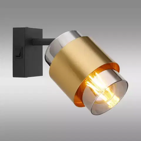 Lampy do obývačky Nástenná lampa Milley 15560-1 K1
