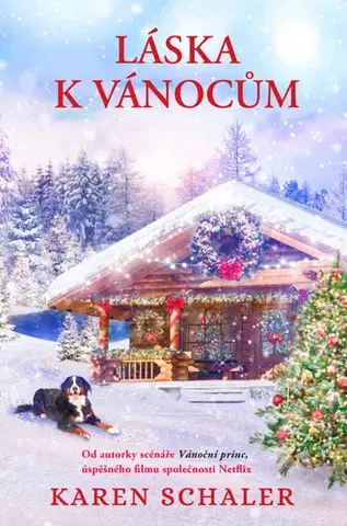 Romantická beletria Láska k Vánocům - Karen Schaler,Dana Chodilová