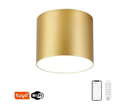 Svietidlá  NEO 07318L - LED stmievateľné stropné svietidlo RONDATE 32W/230V 16,5 cm Wi-Fi Tuya zlatá 07318L