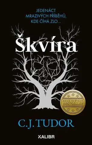Detektívky, trilery, horory Škvíra - C. J. Tudorová,Naďa Špetláková