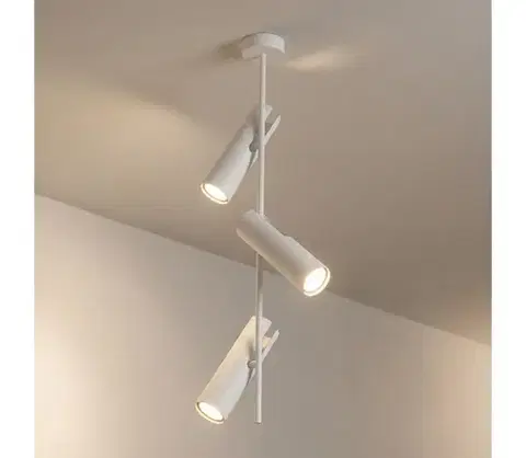 Svietidlá BRILAGI - Luster na tyči BRANCH 3xGU10/30W/230V biela WO-N10-03-WHT-OEM