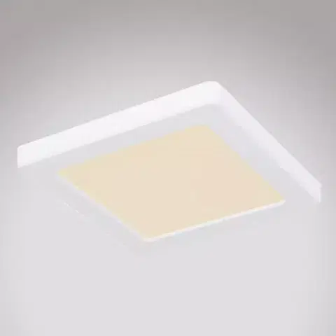 Lampy do obývačky Stropnica 12380-12W LED 12W biely PL