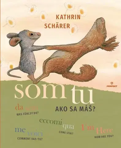 Pre deti a mládež - ostatné Som tu. Ako sa máš? - Kathrin Schärer
