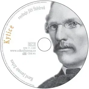 Svetová beletria Socha Kytice