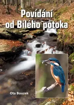 Novely, poviedky, antológie Povídání od Bílého potoka - Ota Bouzek