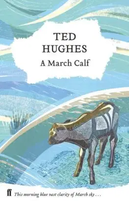 Cudzojazyčná literatúra A March Calf - Ted Hughes