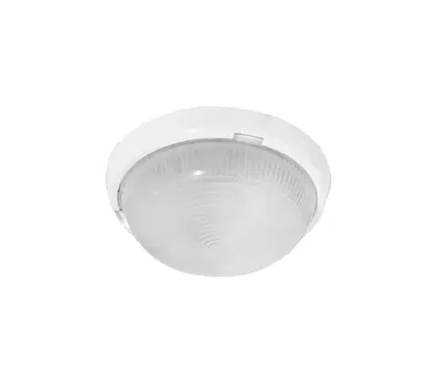 Svietidlá  SNL-M-100 - Vonkajší stropné svietidlo LADY 1xE27/100W/230V mat