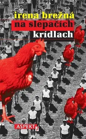 Romantická beletria Na slepačích krídlach - Irena Brežná