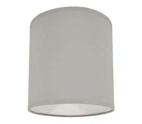Svietidlá  Stropné svietidlo 1xE27/40W/230V šedá D-9038