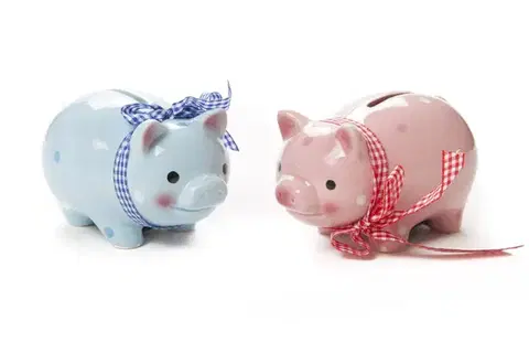 Pokladničky MAKRO - Pokladnička prasa 8x7x11,5cm rôzne farby