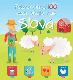 Leporelá, krabičky, puzzle knihy Poznávame 100 vecí okolo nás - Slová
