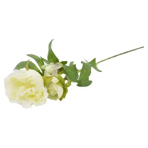 Záhradné dekorácie Peonia 59cm krémová A2010571