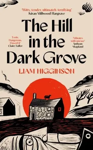 Detektívky, trilery, horory The Hill in the Dark Grove - Liam Higginson