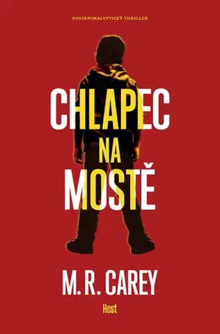 Sci-fi a fantasy Chlapec na mostě - Mike Carey