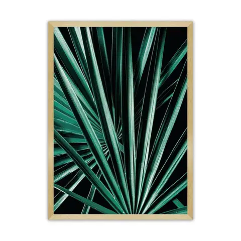Obrazy Plagát Dark Palm Tree