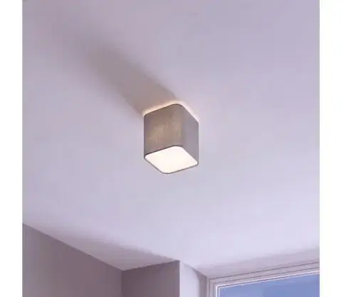 Svietidlá Eglo 99304 - Stropné svietidlo POSADERRA 1xE27/28W/230V 99304