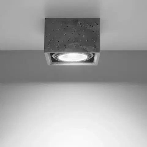 Lampy do obývačky Stropná lampa Flynn 1 betón