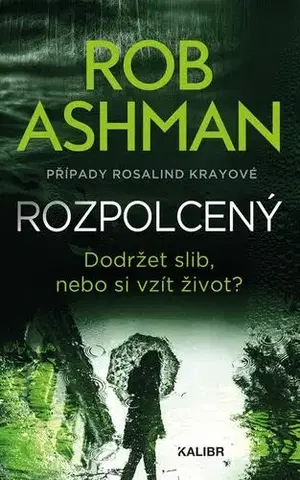 Detektívky, trilery, horory Rozpolcený - Rob Ashman