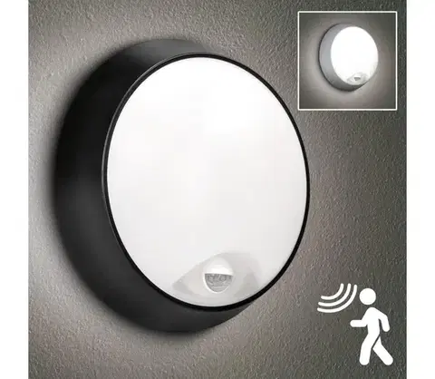 Svietidlá BRILAGI - LED Vonkajšie nástenné svietidlo so senzorom BULKHEAD LED/20W/230V IP65 WO7900-OEM