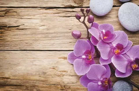 Kúpeľňové predložky MAKRO - Predložka kúpeľňová 45x70cm Orchidea