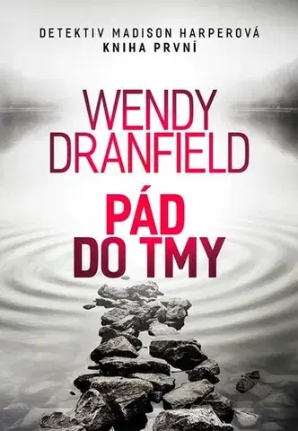 Detektívky, trilery, horory Pád do tmy - Wendy Dranfield,Jana Vlčková