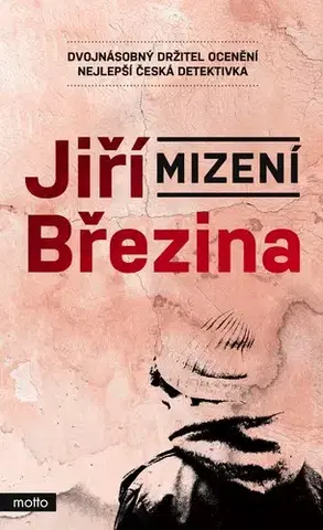 Detektívky, trilery, horory Mizení - Jiří Březina