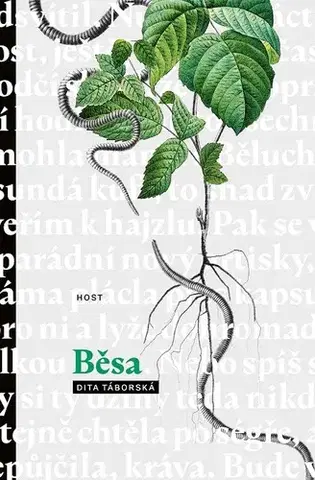 Romantická beletria Běsa - Dita Táborská