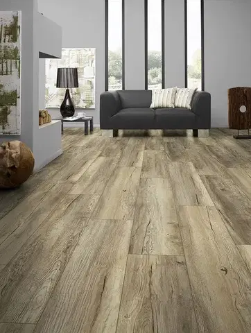 Purus plus EUROWOOD Purus plus Dub dachstein 45363/0002 4747