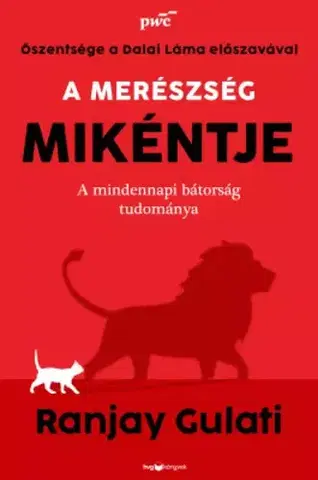 Rozvoj osobnosti A merészség mikéntje - Ranjay Gulati
