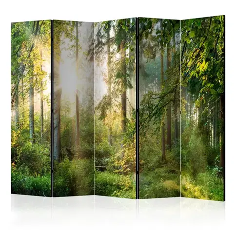 Paravány Paraván Untamed Nature II Dekorhome
