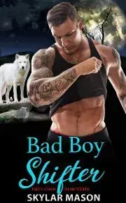 Erotická beletria Bad Boy Shifter - Mason Skylar