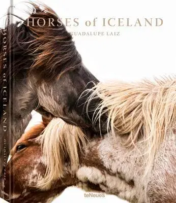 Kone Horses of Iceland - Guadalupe Luiz