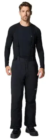Lyžiarske nohavice Columbia Cirque Bowl Pants M Veľkosť: L