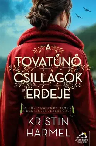 Historické romány A tovatűnő csillagok erdeje - Kristin Harmel