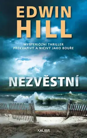 Detektívky, trilery, horory Nezvěstní - Edwin Hill,Jan Čermák