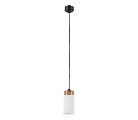 Svietidlá  Závesné svietidlo na lanku MARKUS 1xE27/15W/230V čierna/dub LM-1.260/CZARNY
