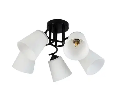 Svietidlá  Prisadený luster PAFOS 5xE27/15W/230V čierny ML2258