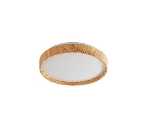 Svietidlá Rabalux 71143 - LED Stropné svietidlo LEANA LED/12W/230V 3000K pr. 26 cm 71143