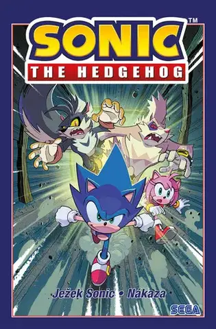 Pre deti a mládež - ostatné Ježek Sonic 4 - Nákaza - Ian Flynn