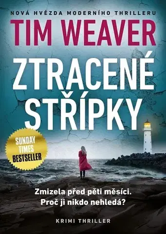 Detektívky, trilery, horory Ztracené střípky - Tim Weaver