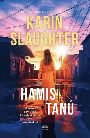 Detektívky, trilery, horory Hamis tanú - Karin Slaughter