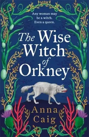 Historické romány The Wise Witch of Orkney - Anna Caig