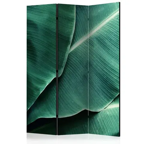 Paravány Paraván Banana Leaf Dekorhome
